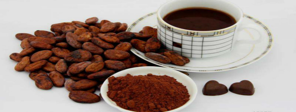 kwaliteit Alkalized Cacaopoeder Service